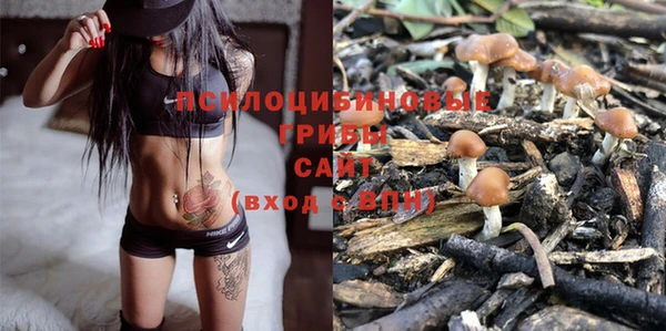 ПСИЛОЦИБИНОВЫЕ ГРИБЫ Липки