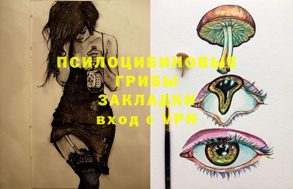 ПСИЛОЦИБИНОВЫЕ ГРИБЫ Липки
