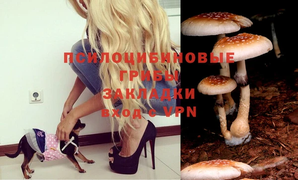 ПСИЛОЦИБИНОВЫЕ ГРИБЫ Липки