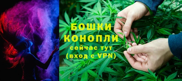 ПСИЛОЦИБИНОВЫЕ ГРИБЫ Липки